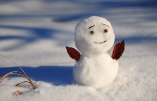 o0700049911615914266